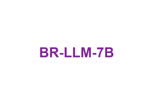 百融云创大模型——BR-LLM-7B - AIBetas