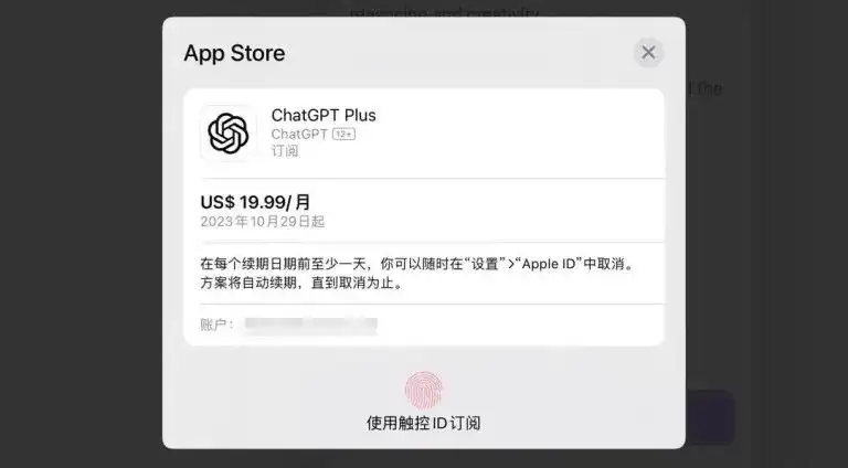 图片[22] - ChatGPT Plus购买教程，有手就行版本，2025 最新ChatGPT订阅方法！